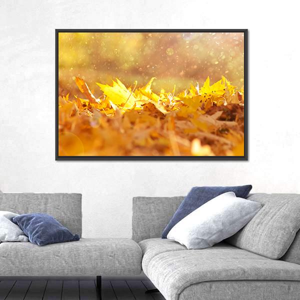 Autumn Leaves & Sunlight Flares Canvas Wall Art-3 Horizontal-Gallery Wrap-25" x 16"-Tiaracle
