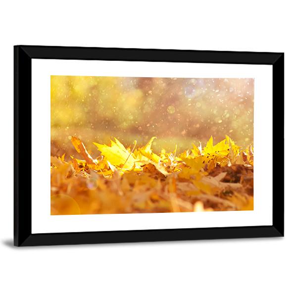 Autumn Leaves &amp; Sunlight Flares Canvas Wall Art-3 Horizontal-Gallery Wrap-25" x 16"-Tiaracle