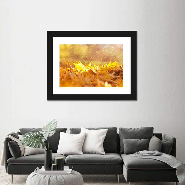 Autumn Leaves &amp; Sunlight Flares Canvas Wall Art-3 Horizontal-Gallery Wrap-25" x 16"-Tiaracle