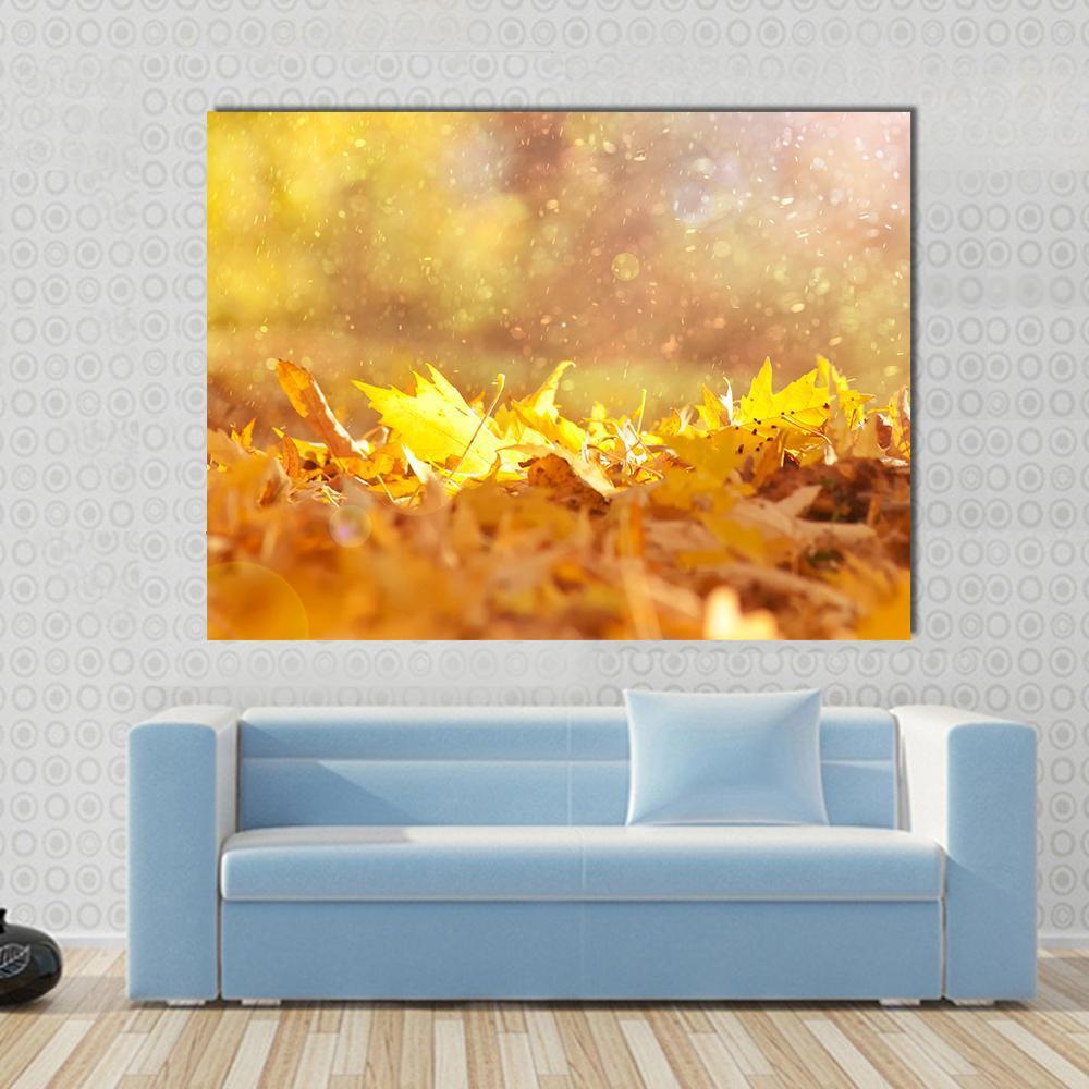 Autumn Leaves &amp; Sunlight Flares Canvas Wall Art in gold, orange and yellow, single panel hung on a wall