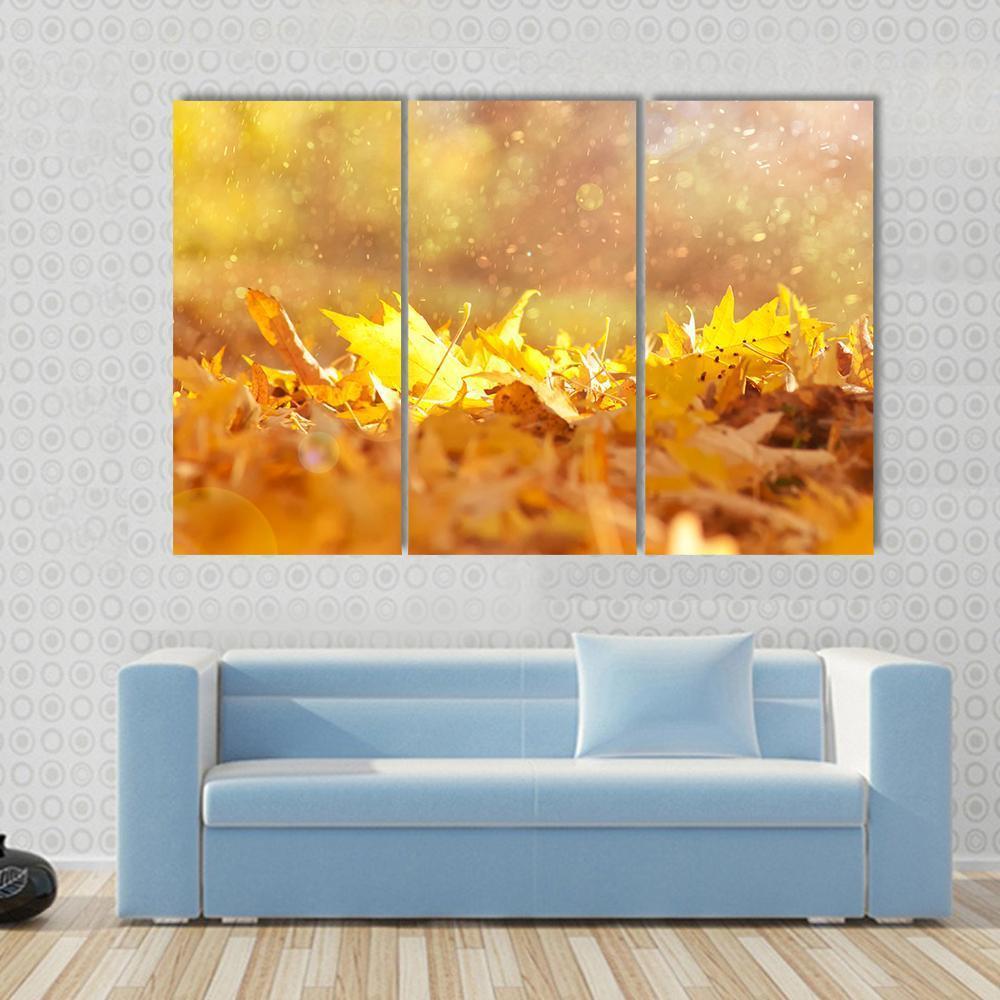 Autumn Leaves &amp; Sunlight Flares Canvas Wall Art-3 Horizontal-Gallery Wrap-37" x 24"-Tiaracle