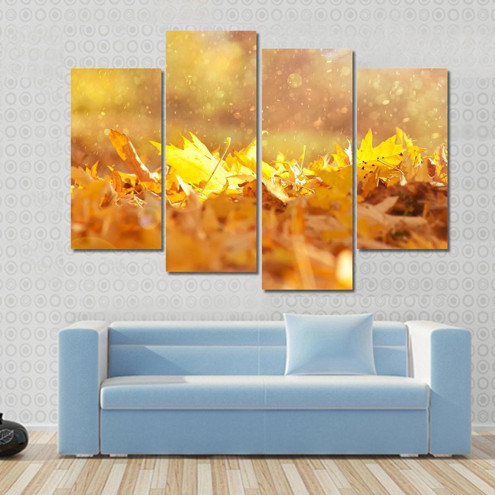 Autumn Leaves & Sunlight Flares Canvas Wall Art-4 Pop-Gallery Wrap-50" x 32"-Tiaracle