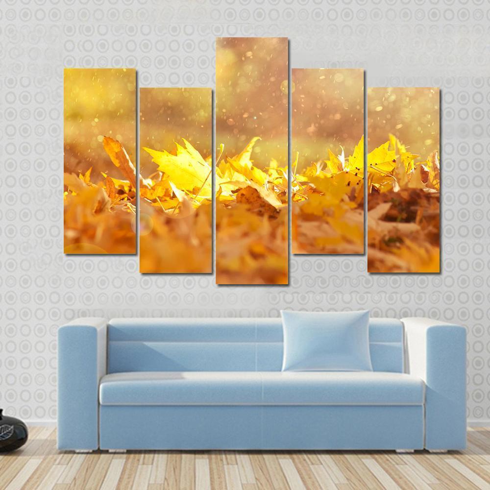 Autumn Leaves &amp; Sunlight Flares Canvas Wall Art-5 Pop-Gallery Wrap-47" x 32"-Tiaracle