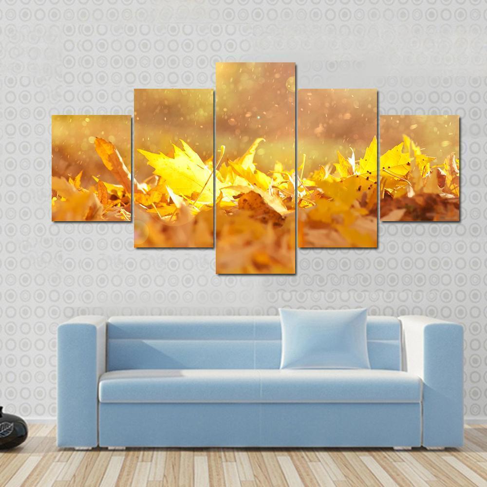 Autumn Leaves &amp; Sunlight Flares Canvas Wall Art-5 Star-Gallery Wrap-62" x 32"-Tiaracle