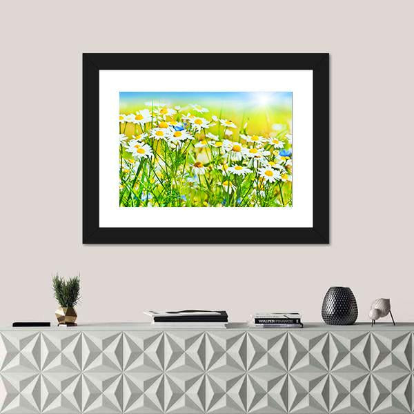 Sunny Daisy Field Canvas Wall Art-1 Piece-Framed Print-20" x 16"-Tiaracle