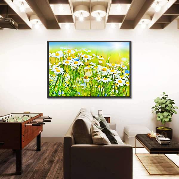 Sunny Daisy Field Canvas Wall Art-3 Horizontal-Gallery Wrap-25" x 16"-Tiaracle