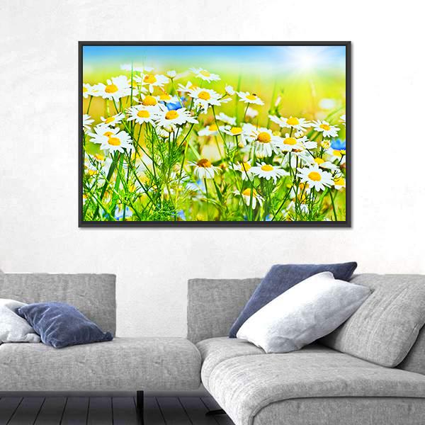 Sunny Daisy Field Canvas Wall Art-3 Horizontal-Gallery Wrap-25" x 16"-Tiaracle