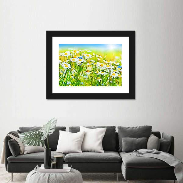 Sunny Daisy Field Canvas Wall Art-3 Horizontal-Gallery Wrap-25" x 16"-Tiaracle