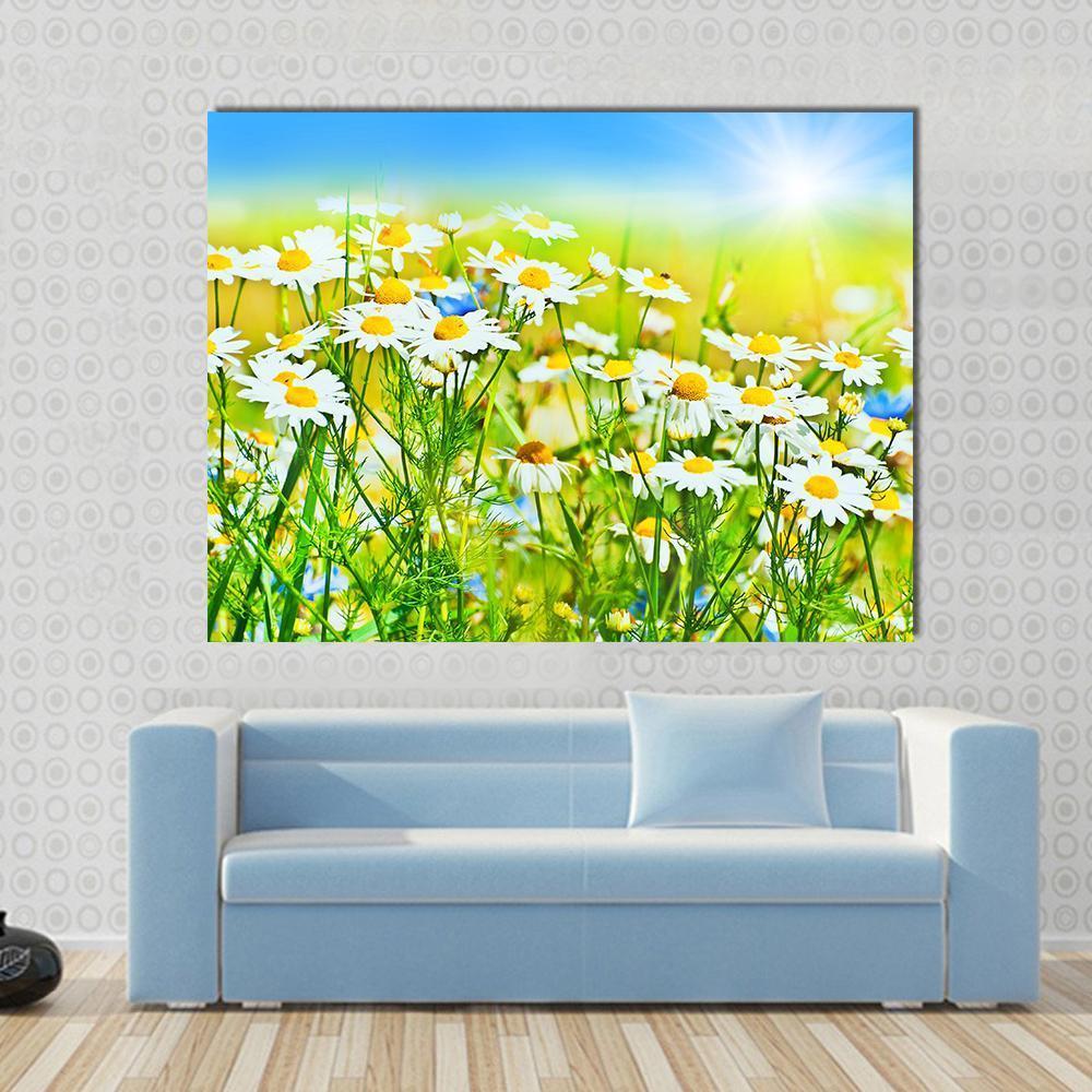 Sunny Daisy Field Canvas Wall Art-1 Piece-Gallery Wrap-48" x 32"-Tiaracle