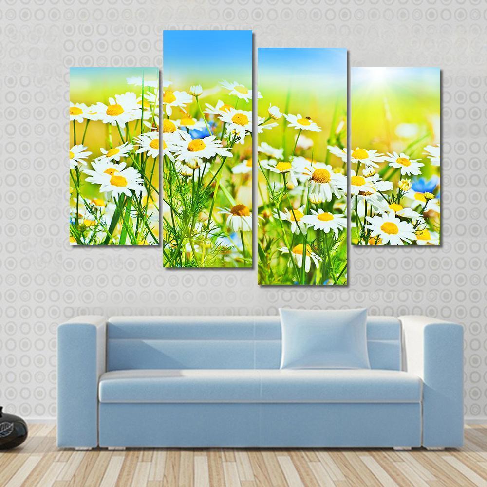 Sunny Daisy Field Canvas Wall Art-4 Pop-Gallery Wrap-50" x 32"-Tiaracle