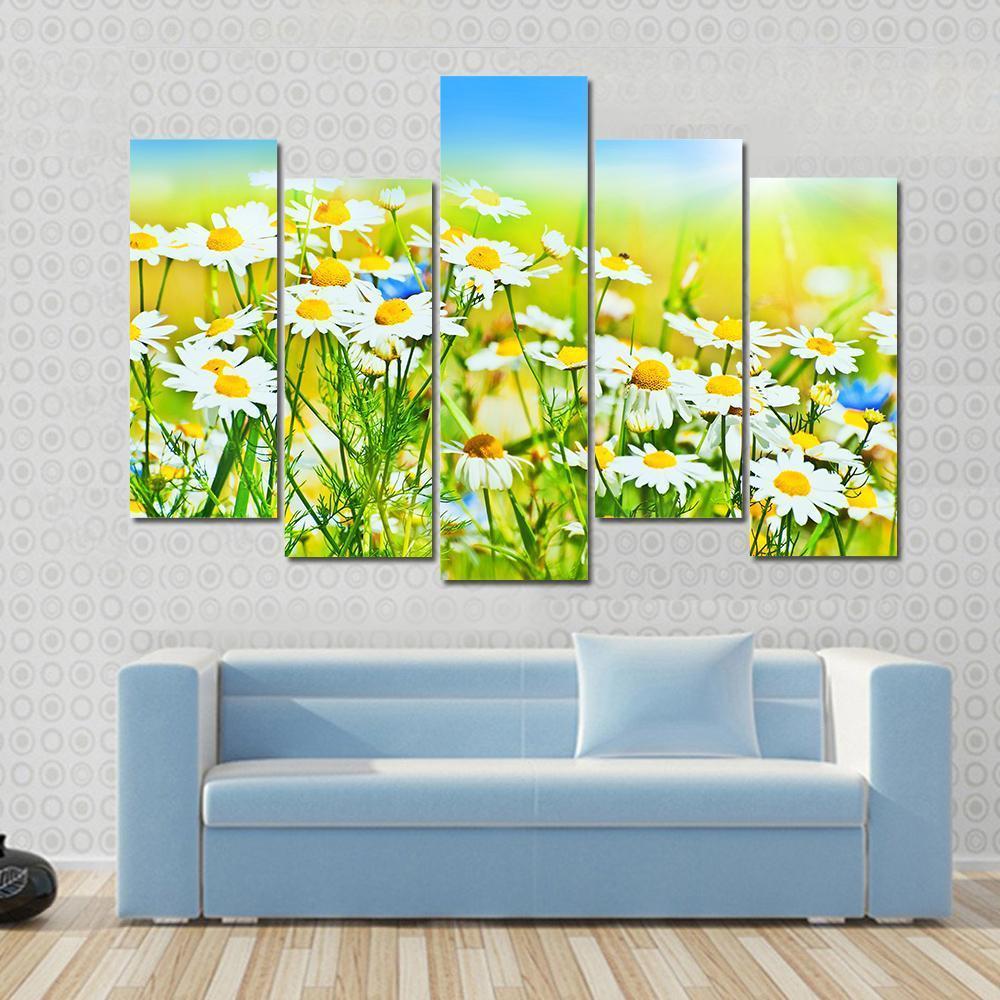 Sunny Daisy Field Canvas Wall Art-5 Pop-Gallery Wrap-47" x 32"-Tiaracle