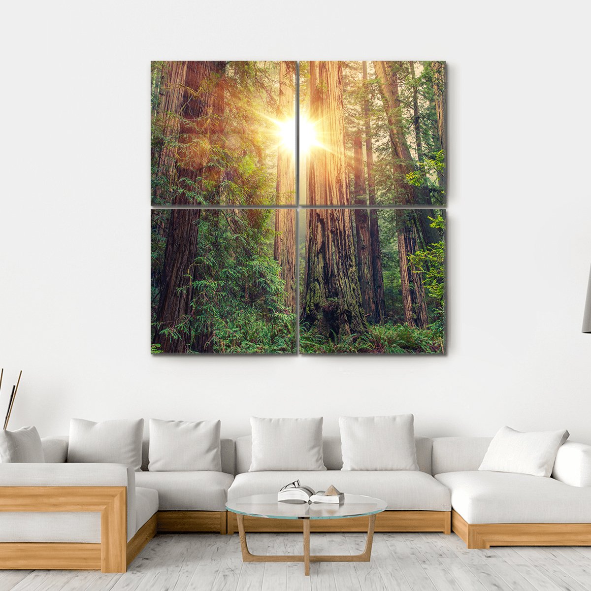 Sunny Redwood Forest In California Canvas Wall Art-4 Square-Gallery Wrap-17" x 17"-Tiaracle
