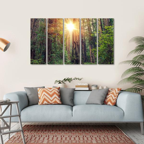 Sunny Redwood Forest In California Canvas Wall Art-5 Horizontal-Gallery Wrap-22" x 12"-Tiaracle