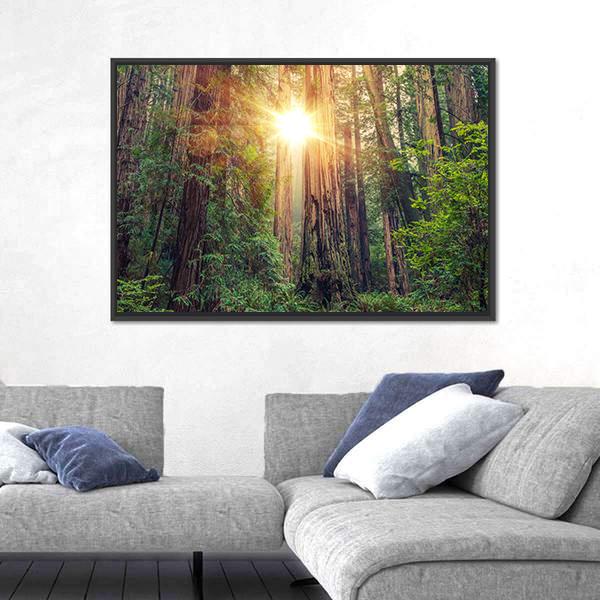 Sunlight Through California Redwood Forest Canvas Wall Art in brown, yellow and green, framed canvas, product view on a white background