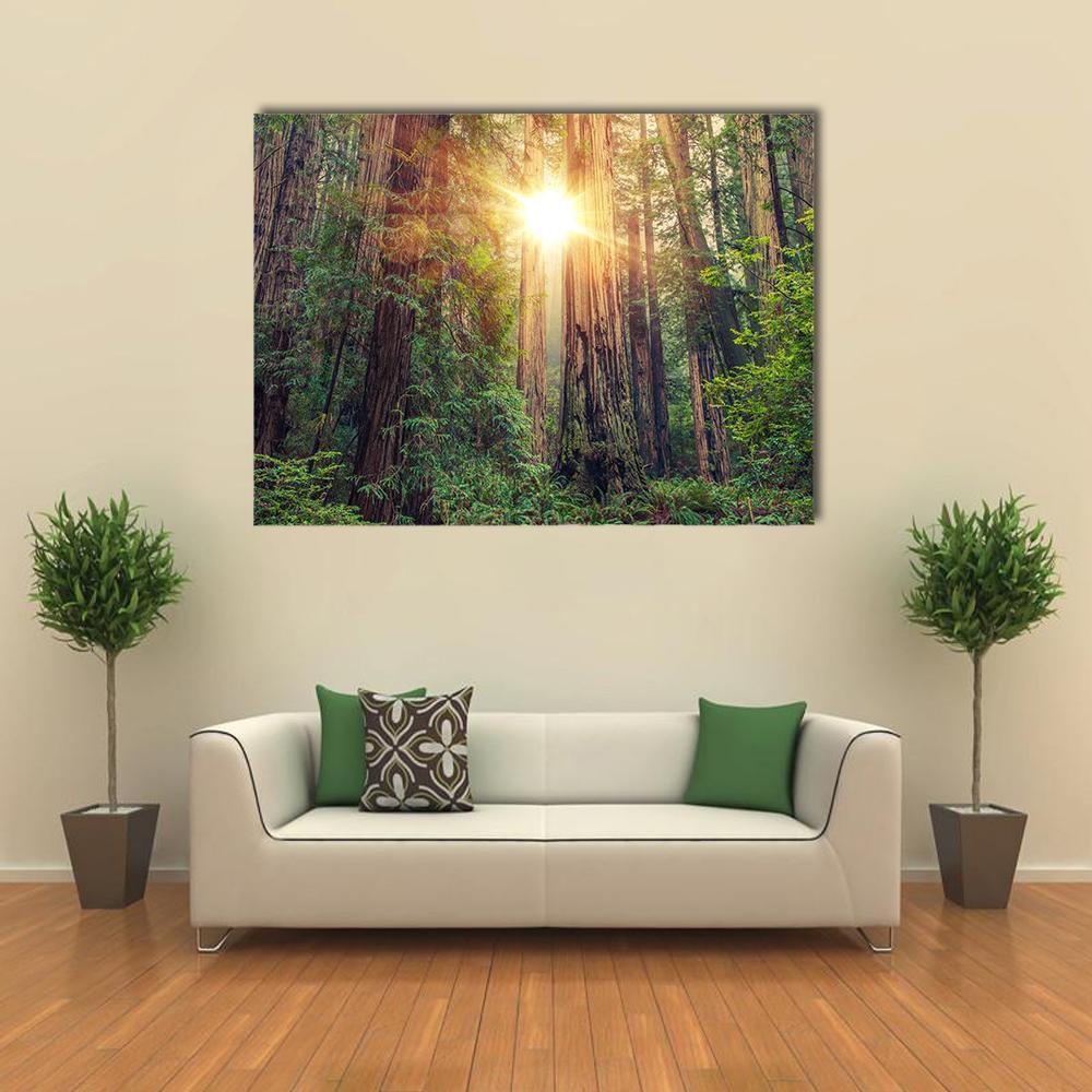 Sunlight Through California Redwood Forest Canvas Wall Art in brown, yellow and green, single panel hung on a wall