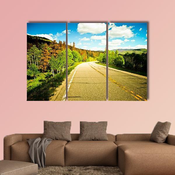 Sunny Road Among Trees With Colorful Leaves Canvas Wall Art-3 Horizontal-Gallery Wrap-37" x 24"-Tiaracle