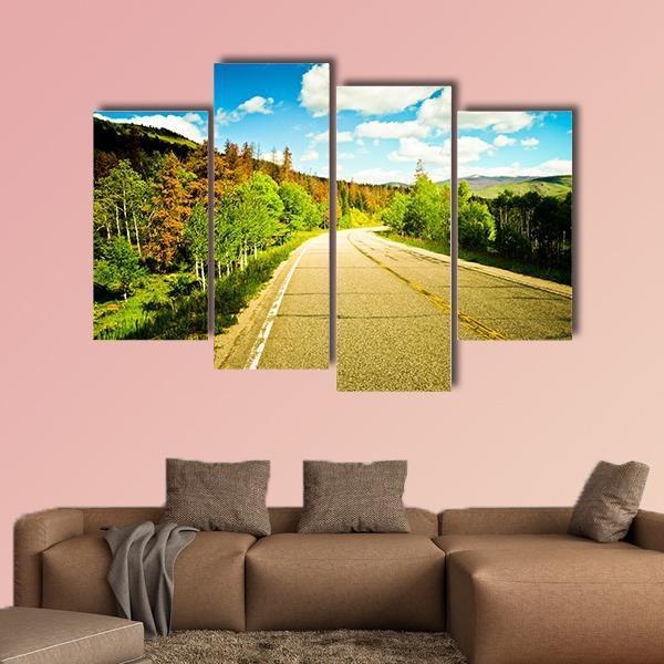 Sunny Road Among Trees With Colorful Leaves Canvas Wall Art-4 Pop-Gallery Wrap-50" x 32"-Tiaracle