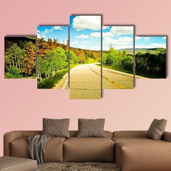 Sunny Road Among Trees With Colorful Leaves Canvas Wall Art-5 Star-Gallery Wrap-62" x 32"-Tiaracle