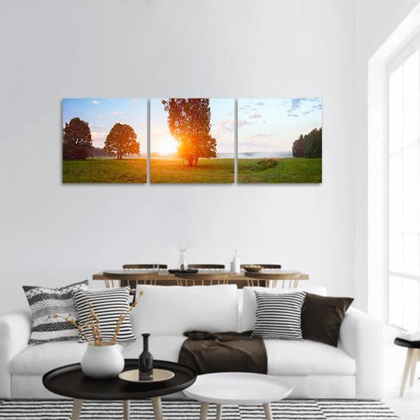 Sunlit Tree at Summer Sunrise Panoramic Canvas Wall Art in orange, green and blue, hung on a wall