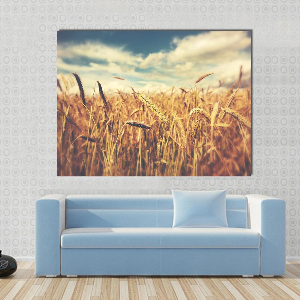 Sunny Wheat Field Canvas Wall Art in gold, yellow and blue, single panel hung on a wall