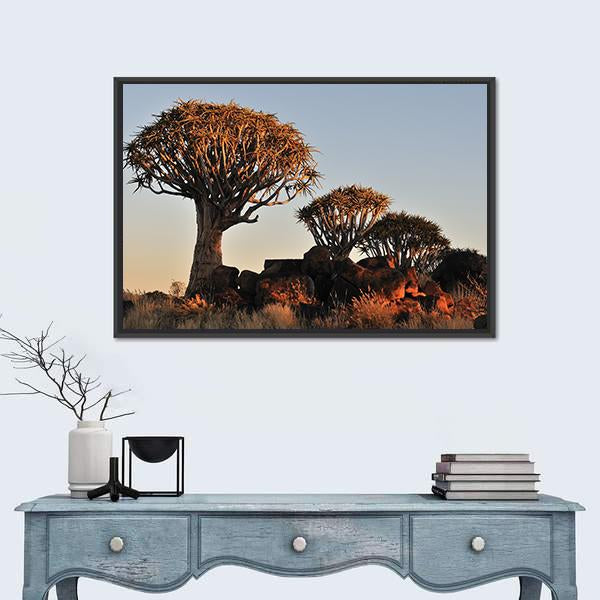 Sunrise At The Quiver Tree Forest In Namibia Canvas Wall Art-1 Piece-Floating Frame-24" x 16"-Tiaracle