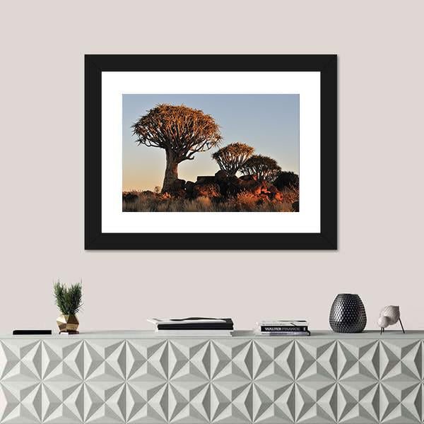 Sunrise At The Quiver Tree Forest In Namibia Canvas Wall Art-1 Piece-Framed Print-20" x 16"-Tiaracle