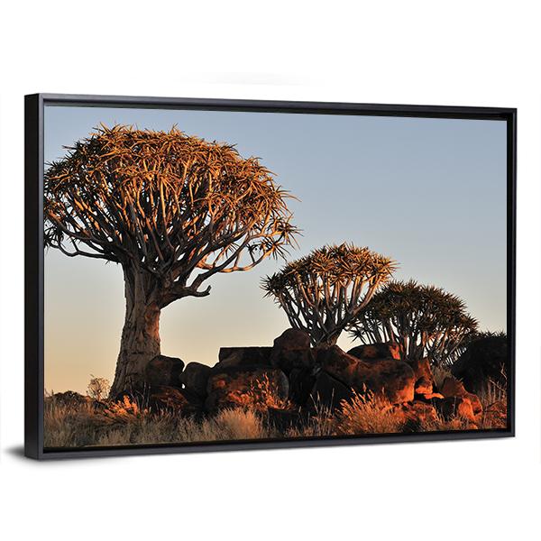 Sunrise At The Quiver Tree Forest In Namibia Canvas Wall Art-3 Horizontal-Gallery Wrap-25" x 16"-Tiaracle
