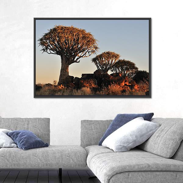 Sunrise At The Quiver Tree Forest In Namibia Canvas Wall Art-3 Horizontal-Gallery Wrap-25" x 16"-Tiaracle