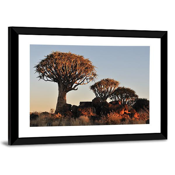 Sunrise At The Quiver Tree Forest In Namibia Canvas Wall Art-3 Horizontal-Gallery Wrap-25" x 16"-Tiaracle