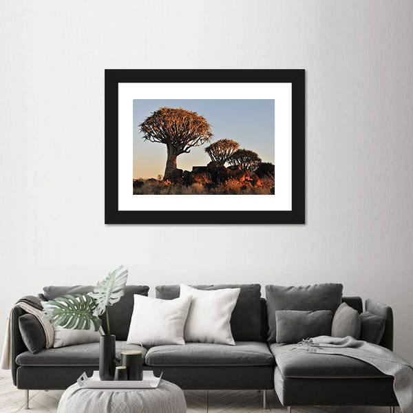 Sunrise At The Quiver Tree Forest In Namibia Canvas Wall Art-3 Horizontal-Gallery Wrap-25" x 16"-Tiaracle