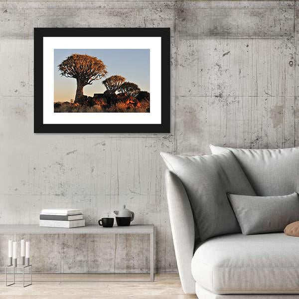 Sunrise At The Quiver Tree Forest In Namibia Canvas Wall Art-3 Horizontal-Gallery Wrap-25" x 16"-Tiaracle