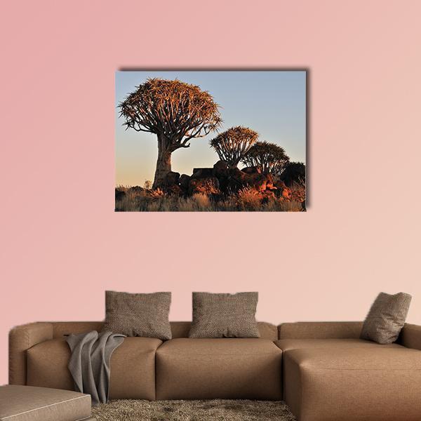 Sunrise At The Quiver Tree Forest In Namibia Canvas Wall Art-1 Piece-Gallery Wrap-48" x 32"-Tiaracle
