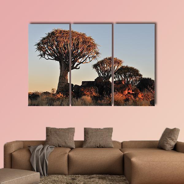 Sunrise At The Quiver Tree Forest In Namibia Canvas Wall Art-3 Horizontal-Gallery Wrap-37" x 24"-Tiaracle