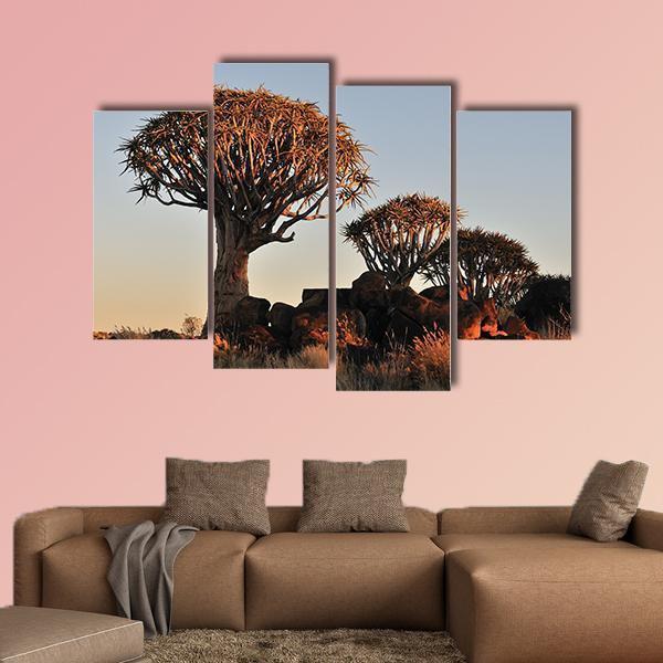 Sunrise At The Quiver Tree Forest In Namibia Canvas Wall Art-4 Pop-Gallery Wrap-50" x 32"-Tiaracle