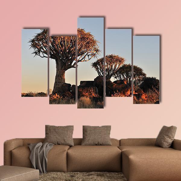 Sunrise At The Quiver Tree Forest In Namibia Canvas Wall Art-5 Pop-Gallery Wrap-47" x 32"-Tiaracle