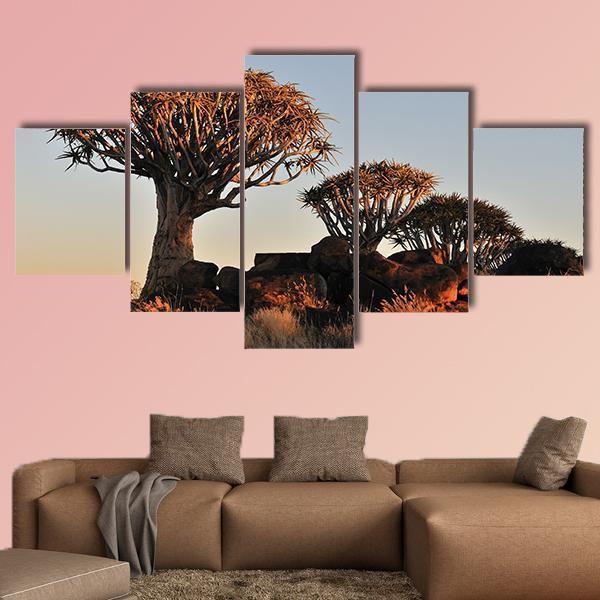 Sunrise At The Quiver Tree Forest In Namibia Canvas Wall Art-5 Star-Gallery Wrap-62" x 32"-Tiaracle