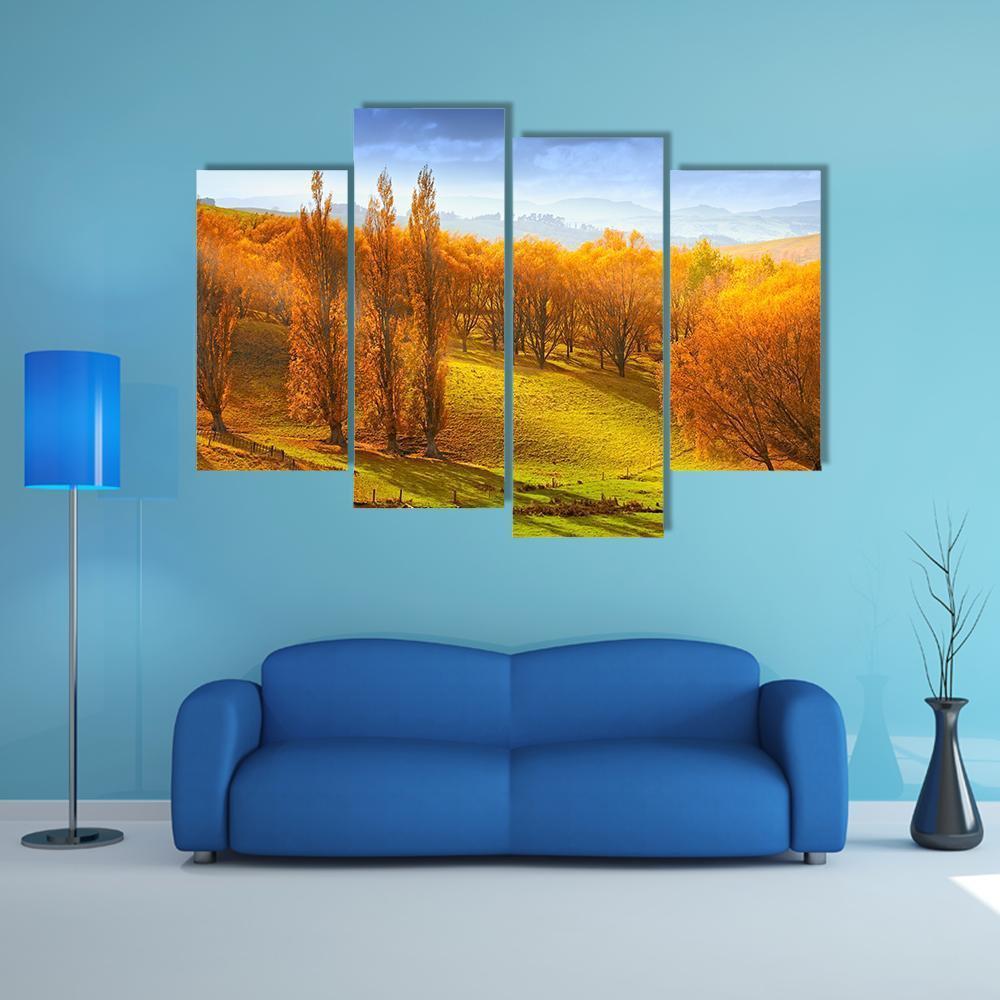 Sunrise In Autumn In New Zealand Canvas Wall Art-4 Pop-Gallery Wrap-50" x 32"-Tiaracle