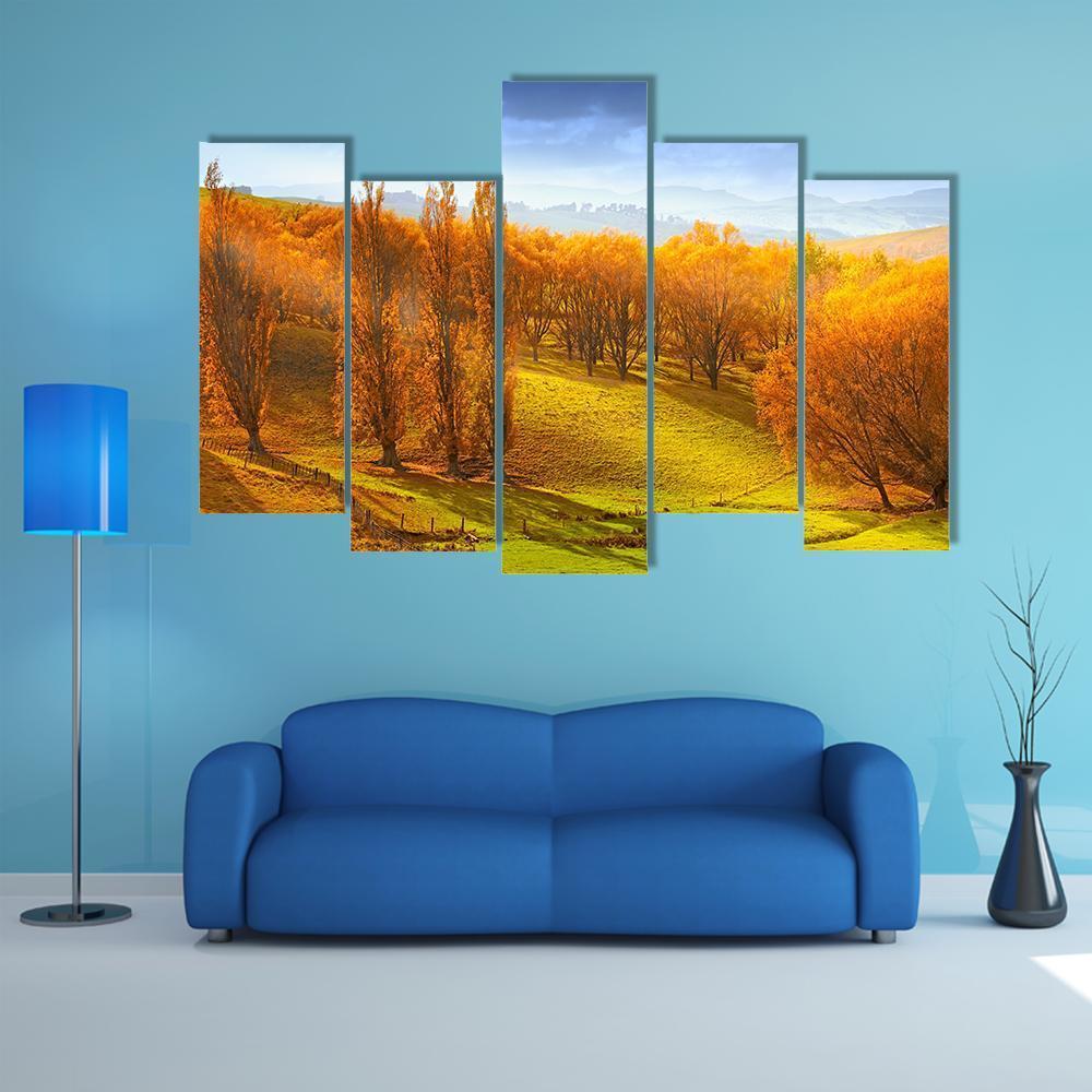 Sunrise In Autumn In New Zealand Canvas Wall Art-5 Pop-Gallery Wrap-47" x 32"-Tiaracle