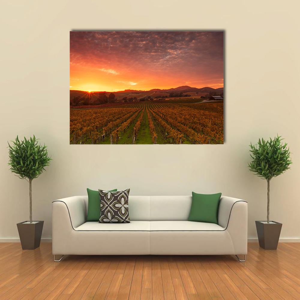 Sunrise Over Napa Valley Vineyards Canvas Wall Art in brown, orange and yellow, single panel hung on a wall