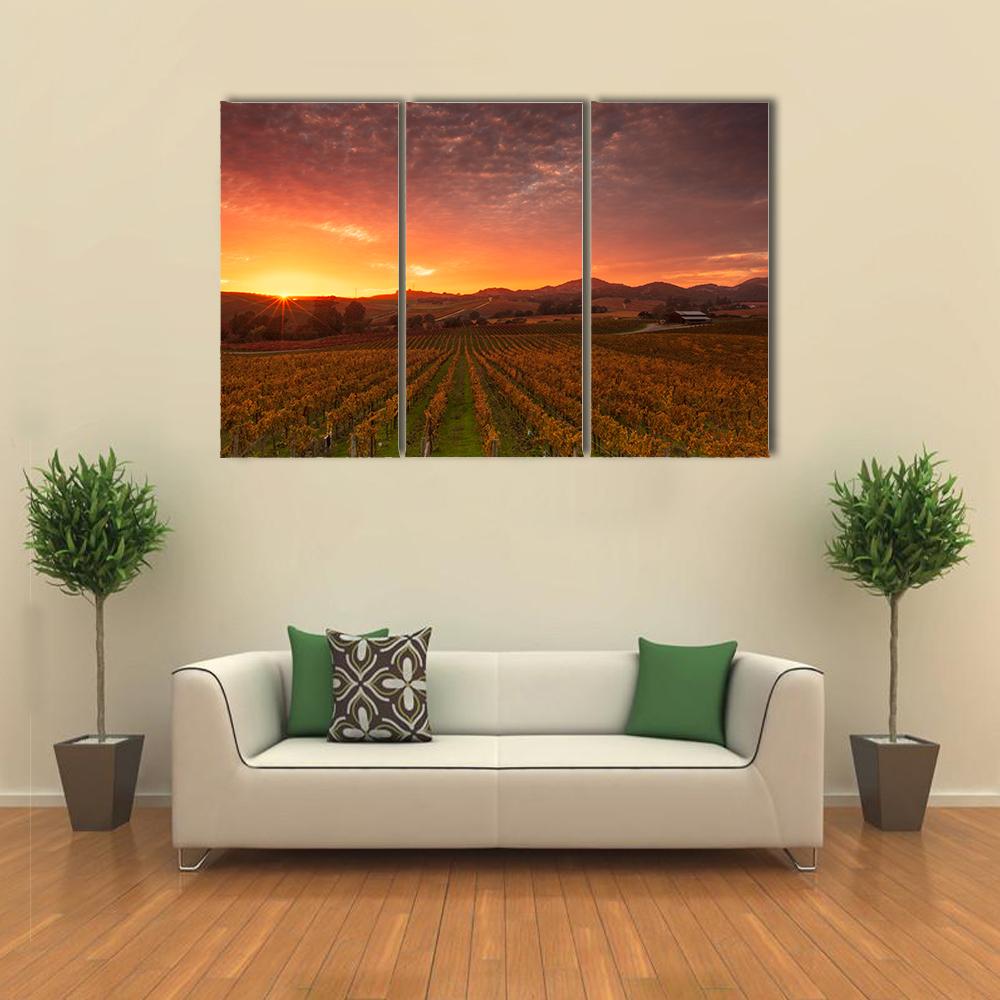Sunrise Over Vineyards Of Napa Valley Canvas Wall Art-3 Horizontal-Gallery Wrap-25" x 16"-Tiaracle