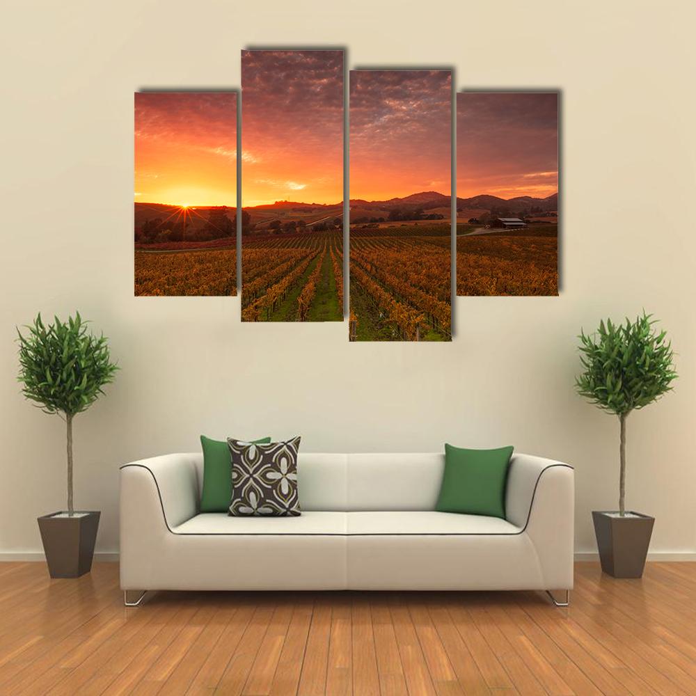 Sunrise Over Vineyards Of Napa Valley Canvas Wall Art-4 Pop-Gallery Wrap-34" x 20"-Tiaracle