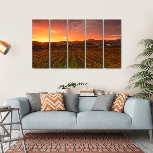 Sunrise Over Vineyards Of Napa Valley Canvas Wall Art-5 Horizontal-Gallery Wrap-22" x 12"-Tiaracle