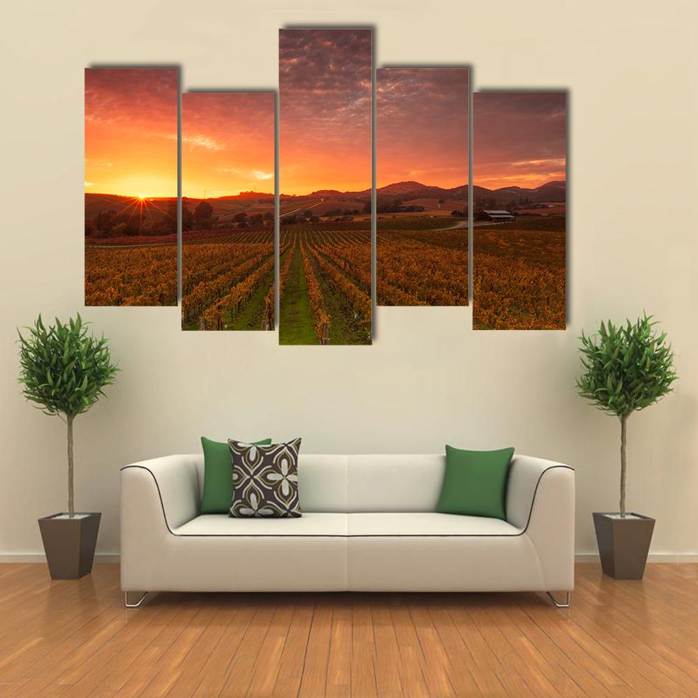 Sunrise Over Vineyards Of Napa Valley Canvas Wall Art-5 Pop-Gallery Wrap-32" x 21"-Tiaracle