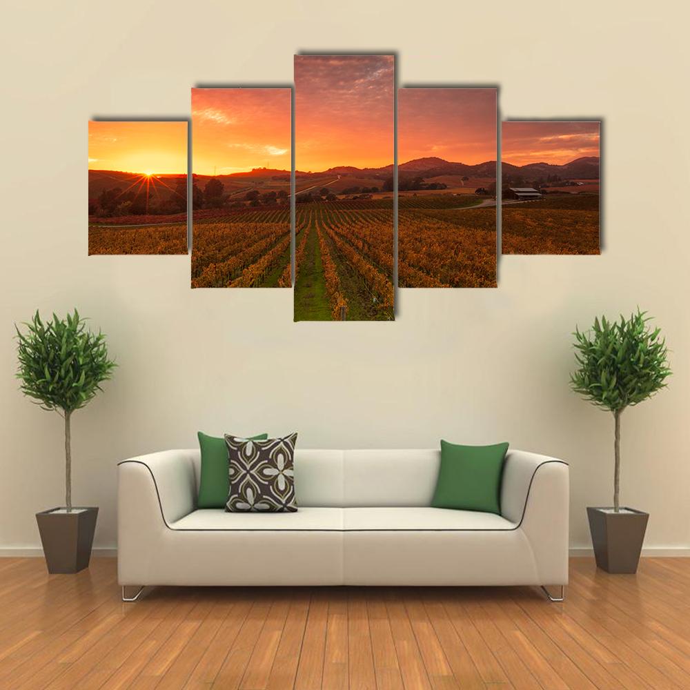 Sunrise Over Vineyards Of Napa Valley Canvas Wall Art-5 Star-Gallery Wrap-42" x 21"-Tiaracle