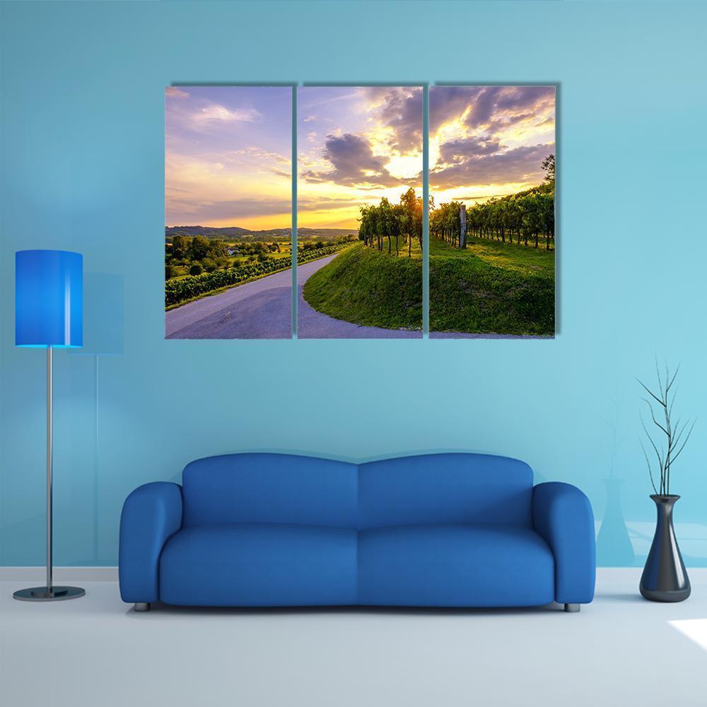 Sunset At Vineyards Of Vipava Valley Canvas Wall Art-3 Horizontal-Gallery Wrap-37" x 24"-Tiaracle
