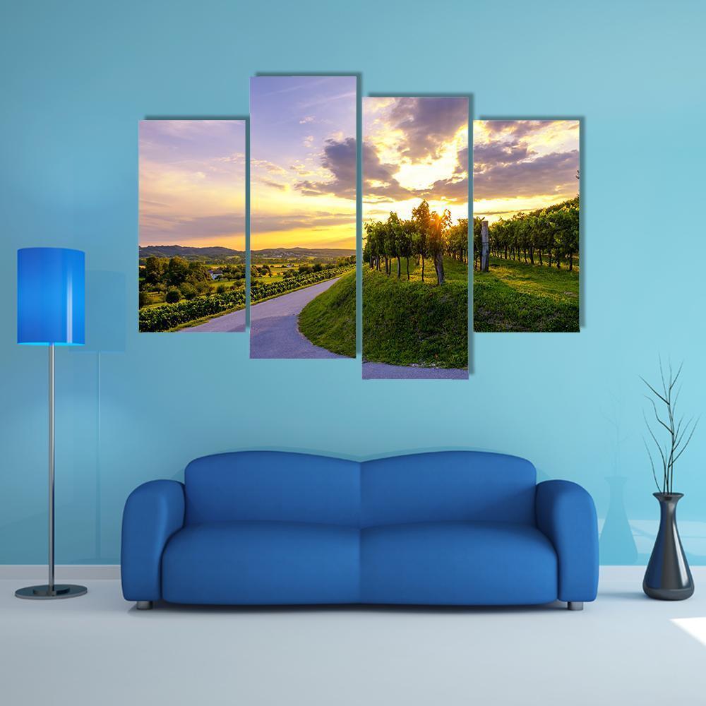Sunset At Vineyards Of Vipava Valley Canvas Wall Art-4 Pop-Gallery Wrap-50" x 32"-Tiaracle
