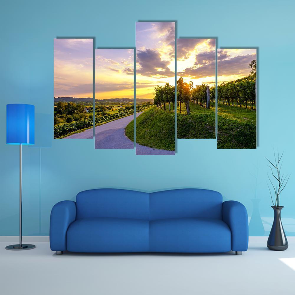 Sunset At Vineyards Of Vipava Valley Canvas Wall Art-5 Pop-Gallery Wrap-47" x 32"-Tiaracle
