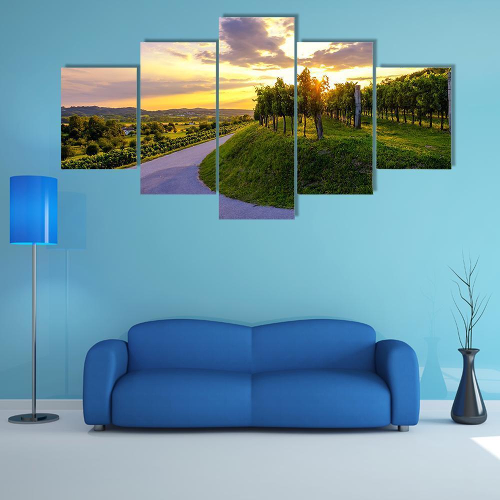 Sunset At Vineyards Of Vipava Valley Canvas Wall Art-5 Star-Gallery Wrap-62" x 32"-Tiaracle