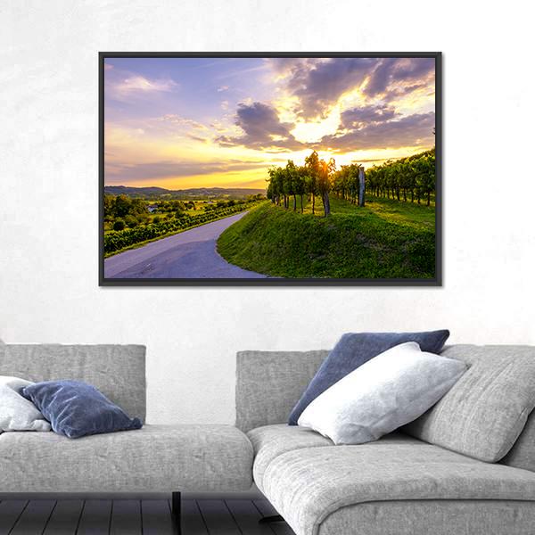 Sunset At Vineyards Of Vipava Valley Panoramic Canvas Wall Art-1 Piece-36" x 12"-Tiaracle