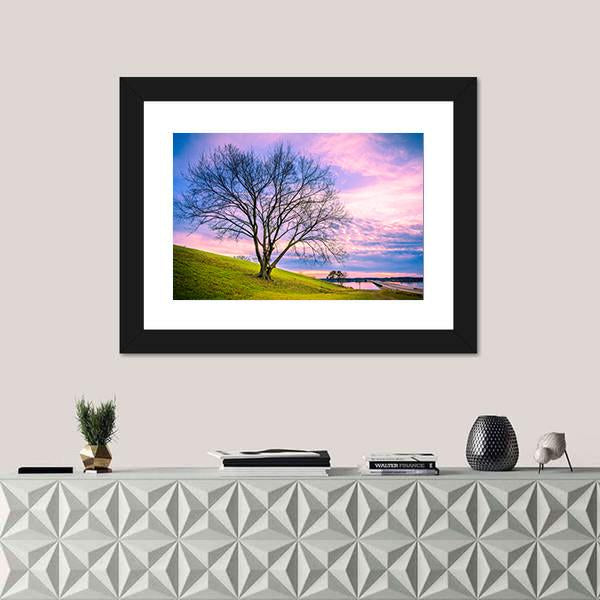 Sunset Behind Leafless Winter Tree Canvas Wall Art-1 Piece-Framed Print-20" x 16"-Tiaracle